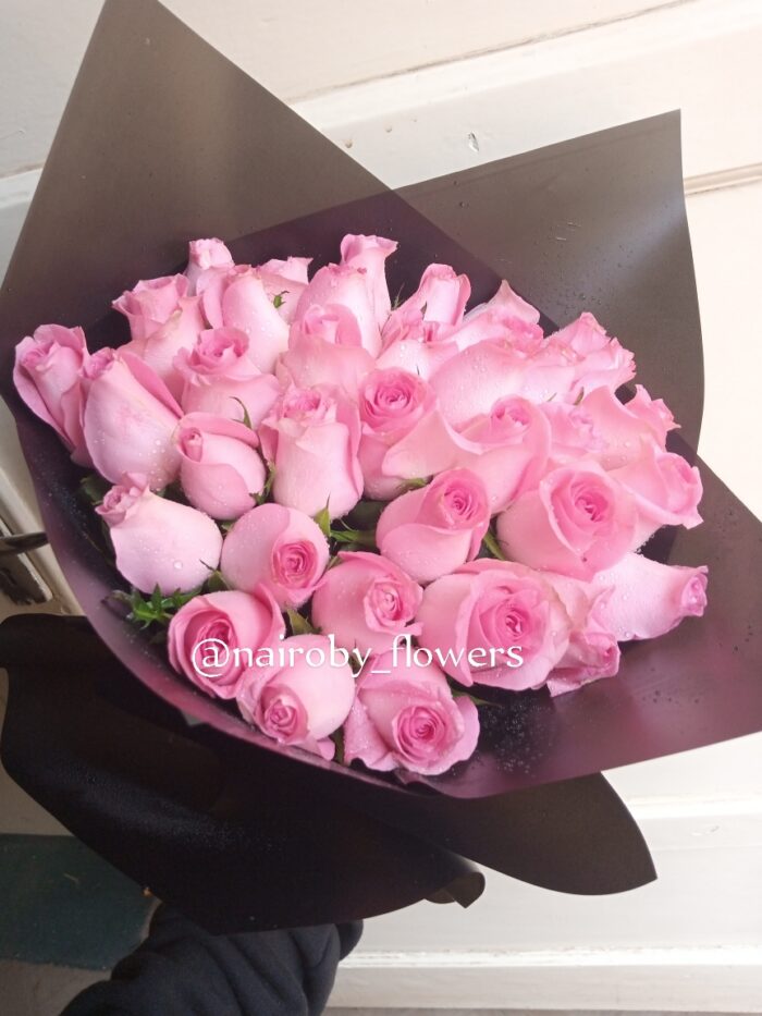 PINK ROSES BLOOMS