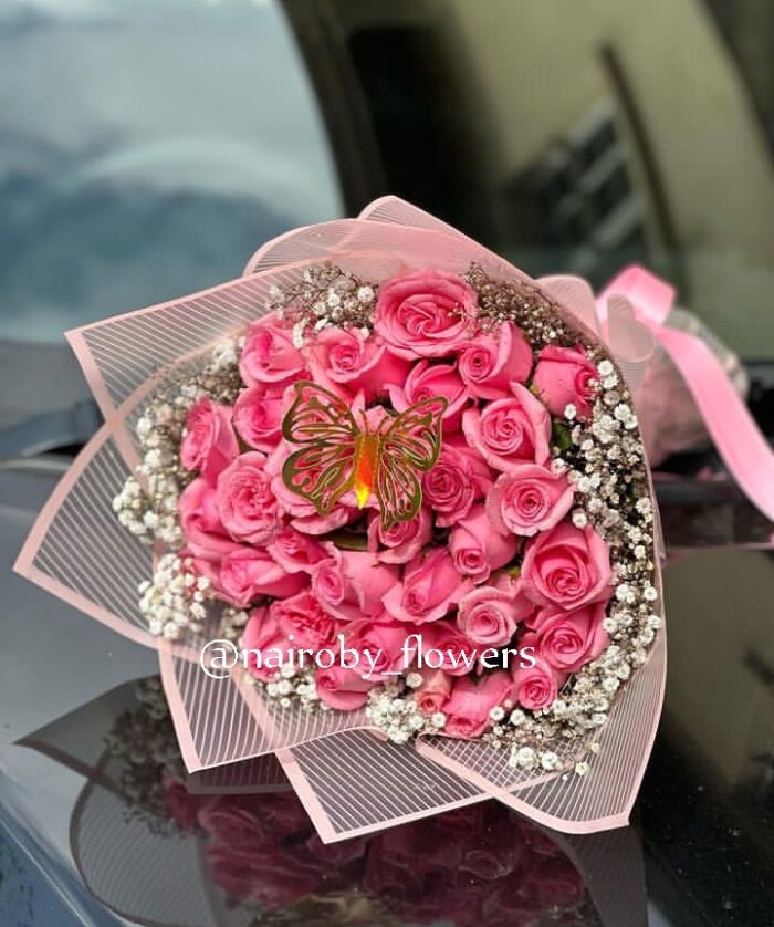 PINK LOVIES