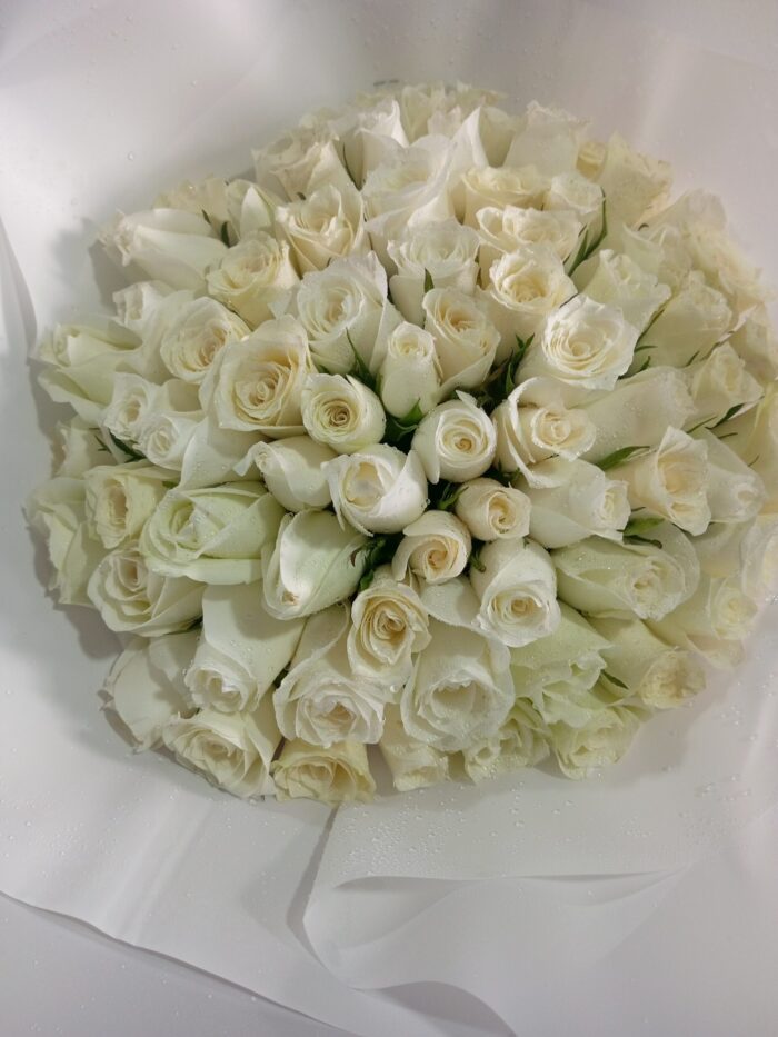 60 WHITE ROSES