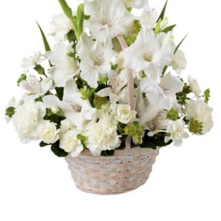 SYMPHONY BASKET