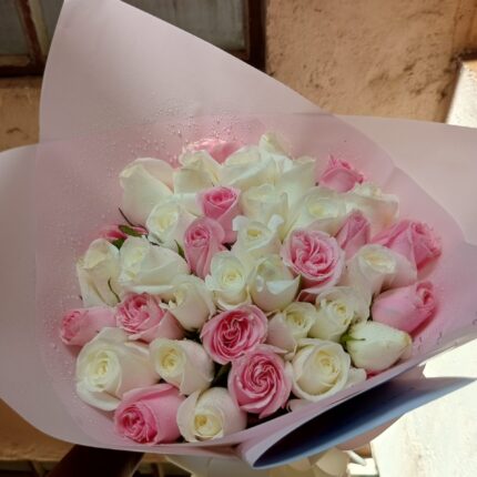 BEAUTIFUL PINK & WHITE ROSES