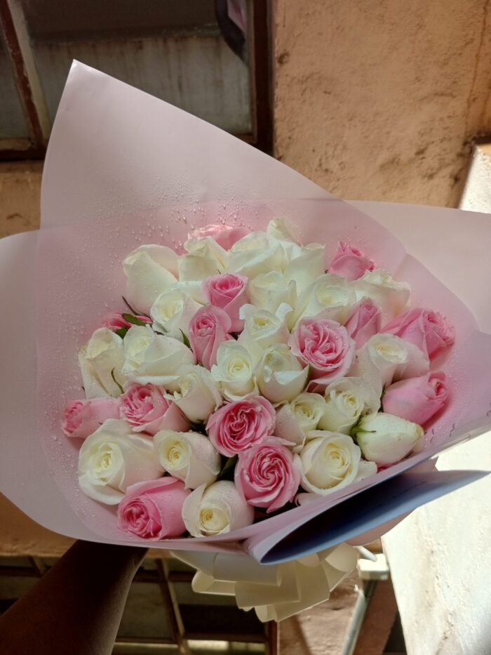 BEAUTIFUL PINK & WHITE ROSES
