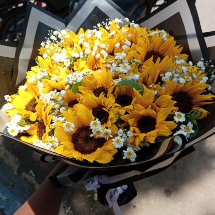 DAISIES AND SUNFLOWERS