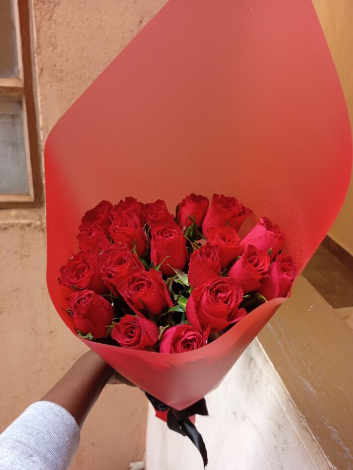 SNUGGLY RED ROSES