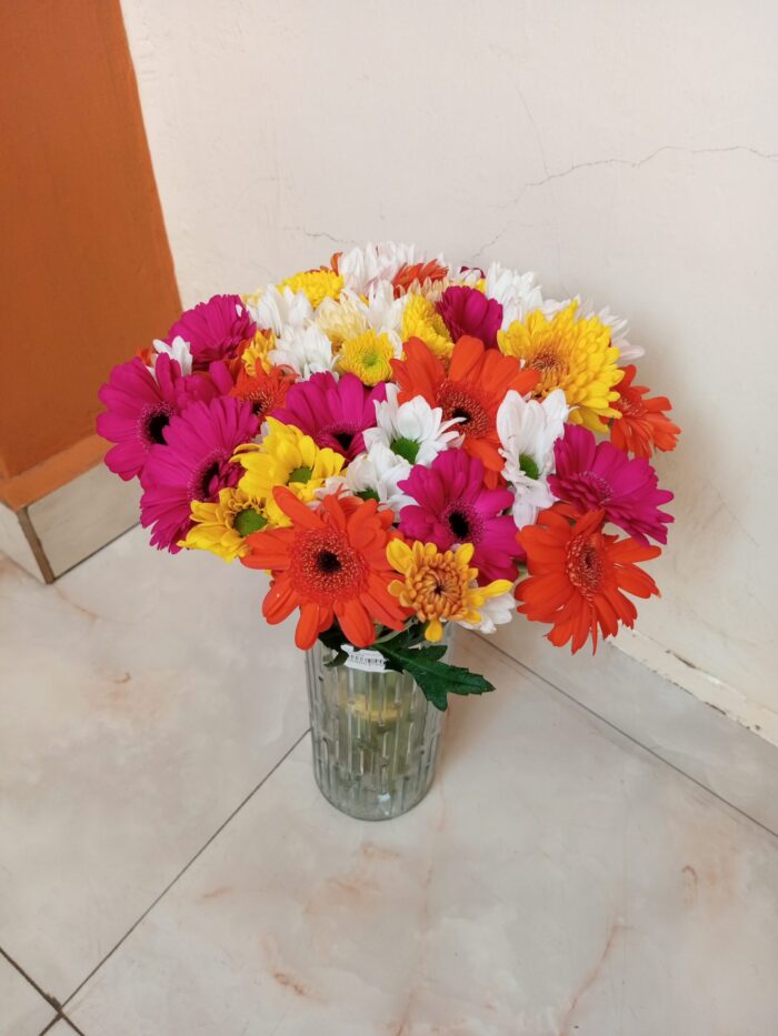 COLORFUL GERBERAS & DAISIES