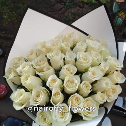 CALMING SERENE WHITE ROSES