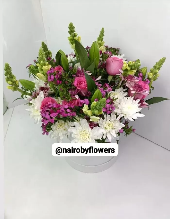A TROPICAL HAT BOX