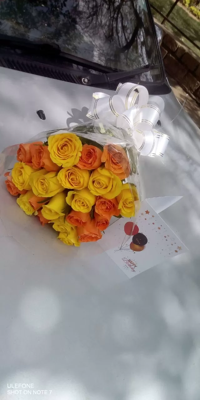 ORANGE & YELLOW SUNSHINE