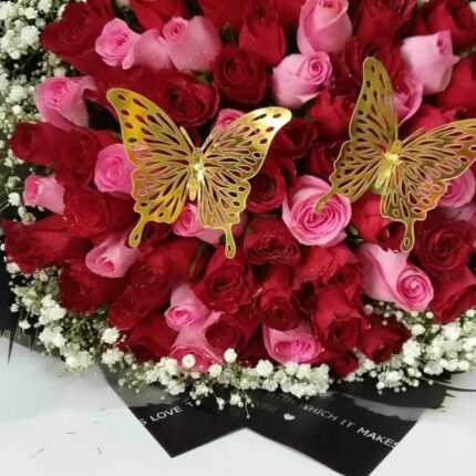 PINKY-RED & BUTTERFLY COMBO