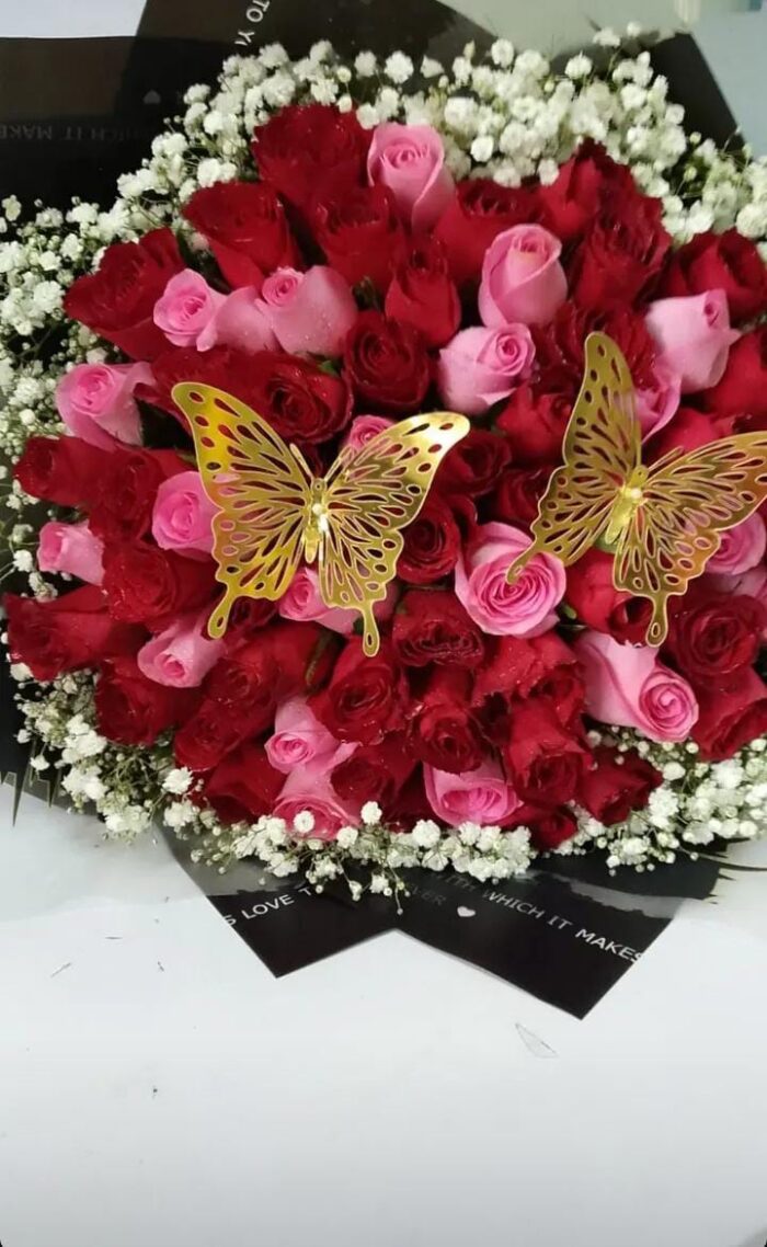 PINKY-RED & BUTTERFLY COMBO